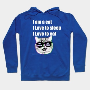 I am a cat Person Hoodie